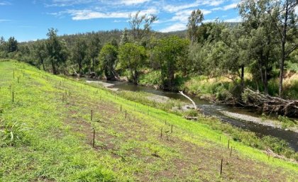 an area of green grass with small posts next to a creek with trees on the opposite bank